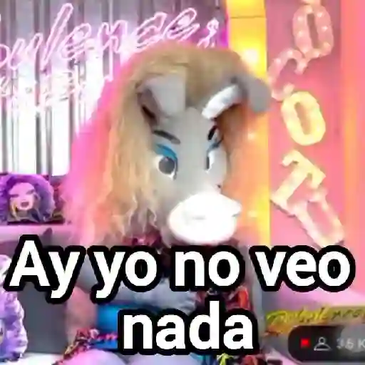 La burrita burrona 🫏💖