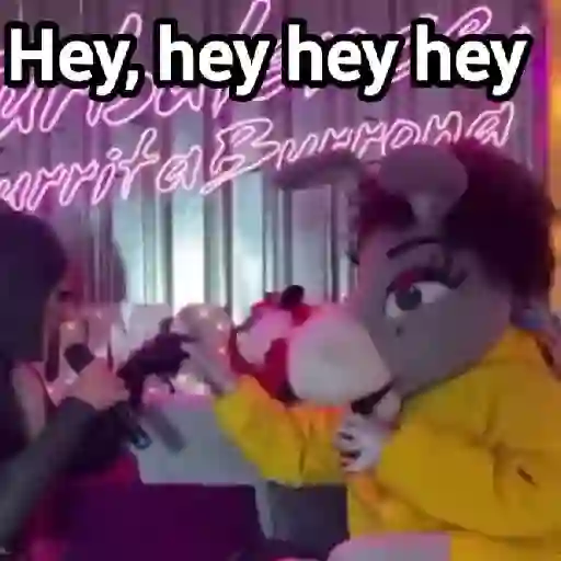La burrita burrona 🫏💖