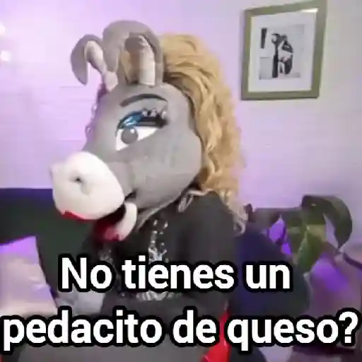 La burrita burrona 🫏💖
