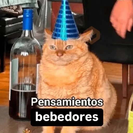 🎆🥂 Año Nuevo Mood 🥂🎆 sticker 14