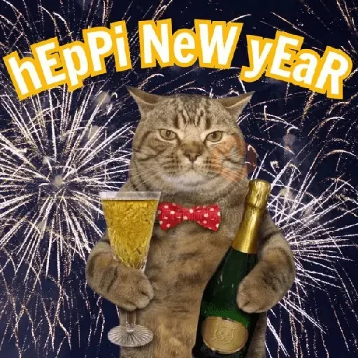 🎆🥂 Año Nuevo Mood 🥂🎆 sticker 15