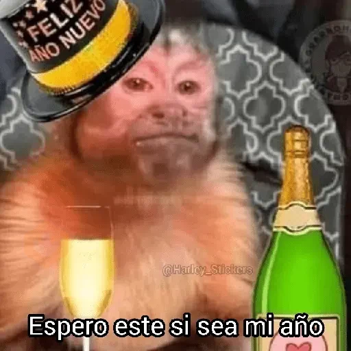 🎆🥂 Año Nuevo Mood 🥂🎆 sticker 12
