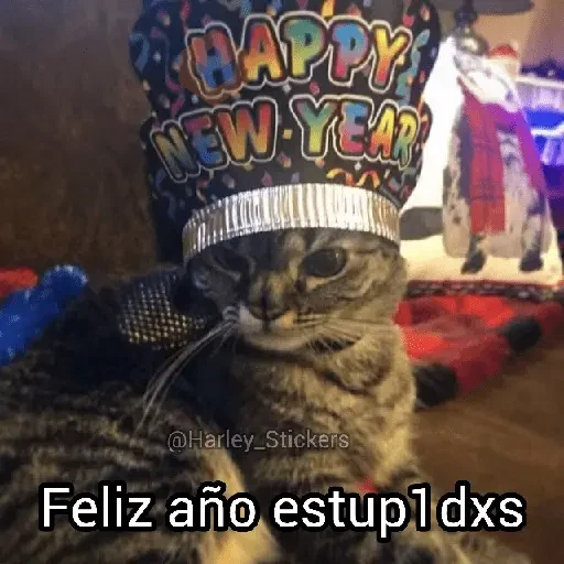 🎆🥂 Año Nuevo Mood 🥂🎆 sticker 13