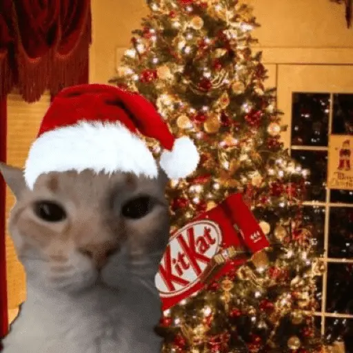 Memes navideños 🎄🎅