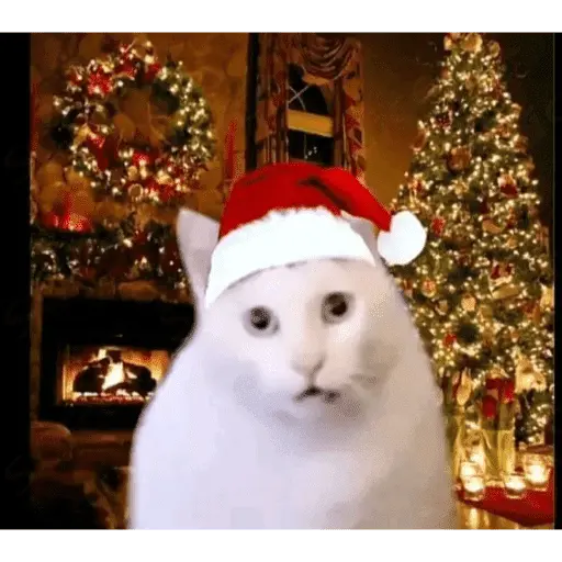 Memes navideños 🎄🎅