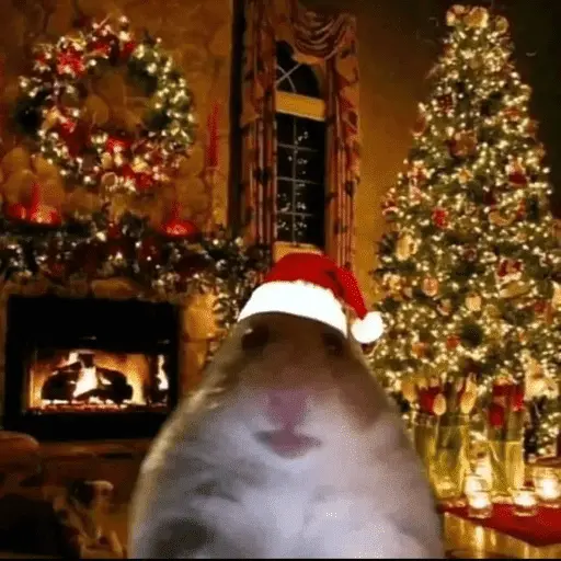 Memes navideños 🎄🎅