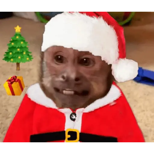 Memes navideños 🎄🎅