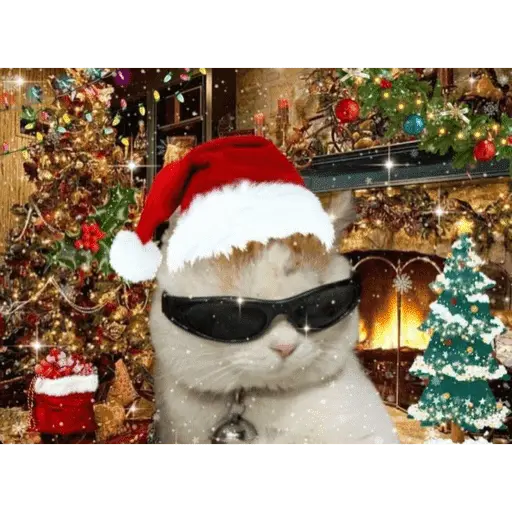 Memes navideños 🎄🎅