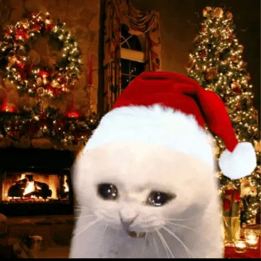 Memes navideños 🎄🎅