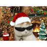 Memes navideños 🎄🎅