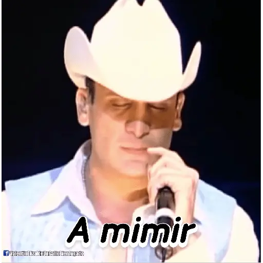 Valentín Elizalde