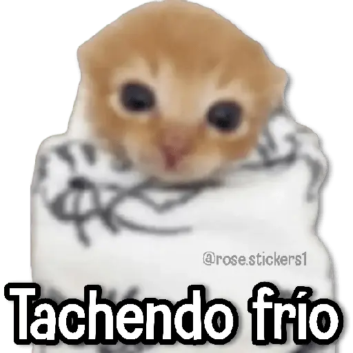 Memes Random❺ღ💫