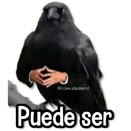 Memes Random❺ღ💫