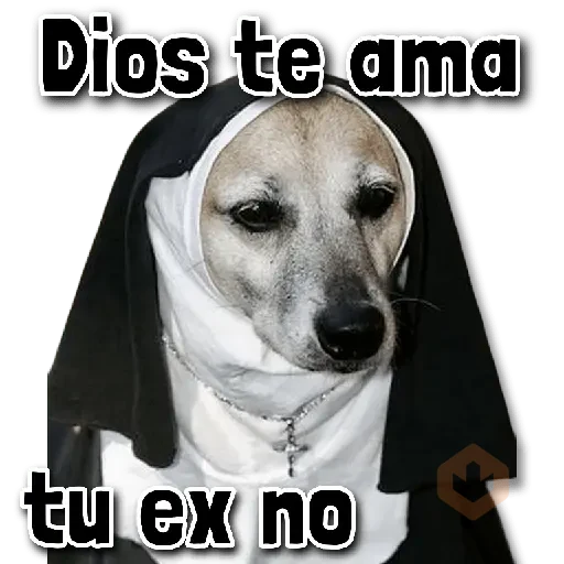 💀 COMBO de Stickers #➊➐ sticker 13
