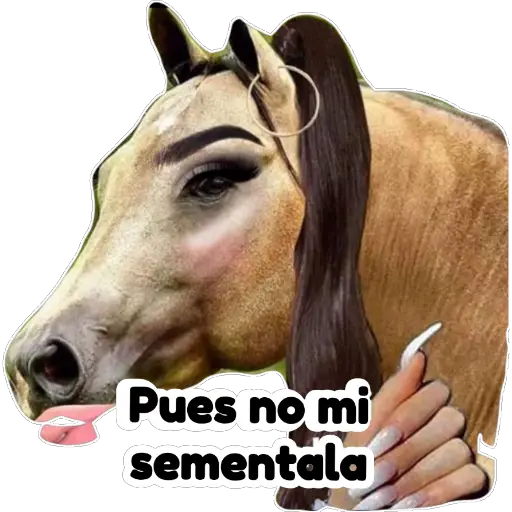 Nomiciela 