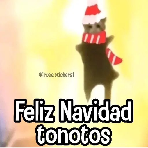 Navidad🎄🎅🏻❄️