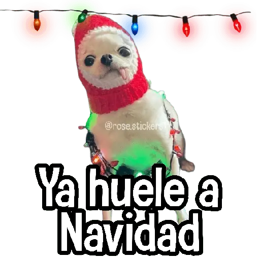 Navidad🎄🎅🏻❄️