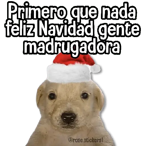 Navidad🎄🎅🏻❄️