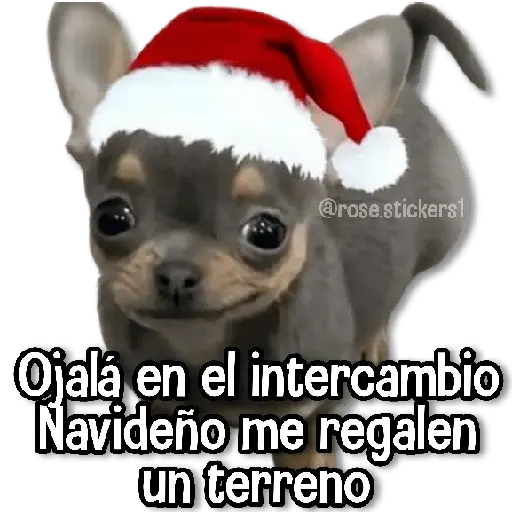 Navidad🎄🎅🏻❄️