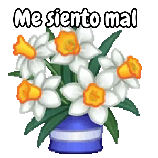 Ramo de San Valentín 💐🌷