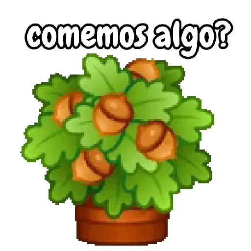 Ramo de San Valentín 💐🌷