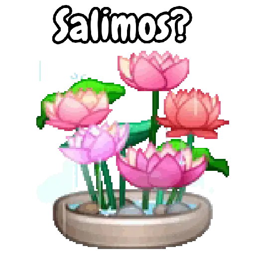 Ramo de San Valentín 💐🌷