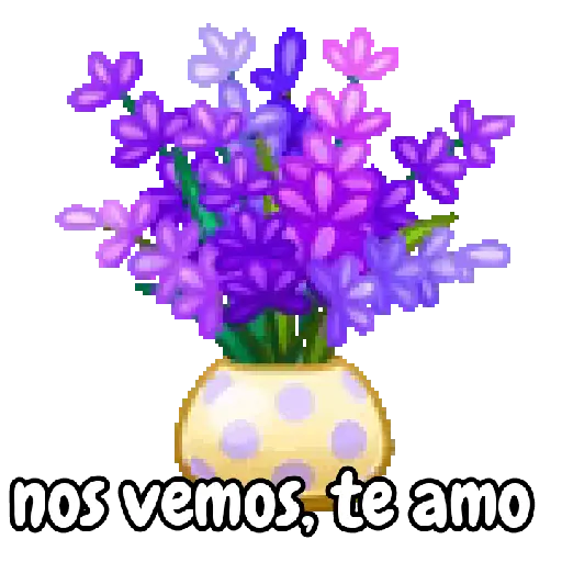 Ramo de San Valentín 💐🌷