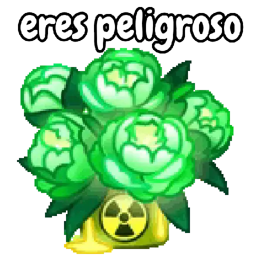 Ramo de San Valentín 💐🌷