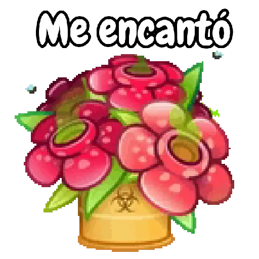 Ramo de San Valentín 💐🌷