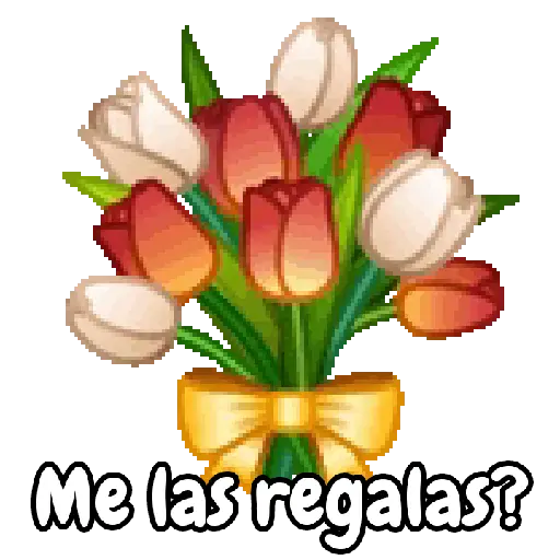 Ramo de San Valentín 💐🌷