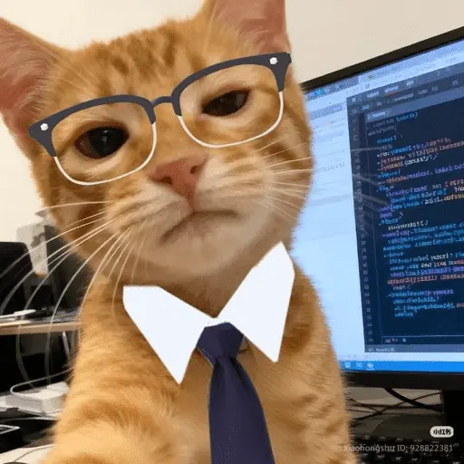 😽 GATOS CON LENTES 🤓