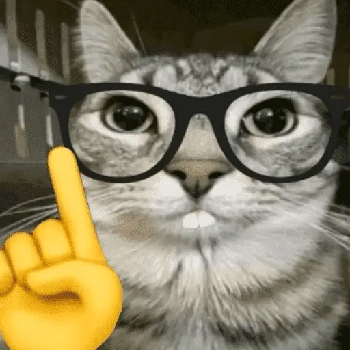 😽 GATOS CON LENTES 🤓