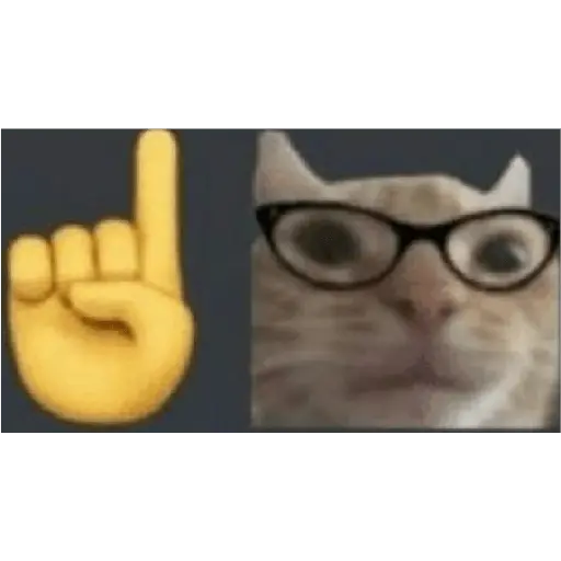 Gatos Reacciones Random