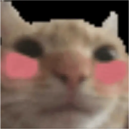 Gatos Reacciones Random