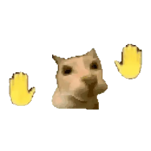 tiktok reaction cat 😸