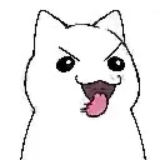 tiktok reaction cat 😸