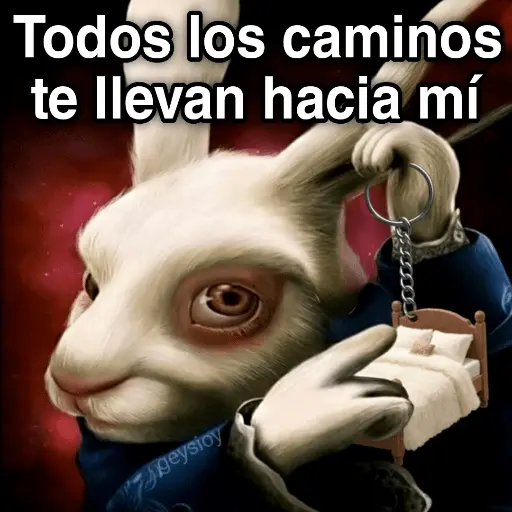 Conejo con reloj🐇Roma⌚