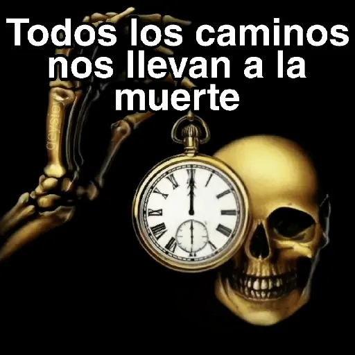 Conejo con reloj🐇Roma⌚