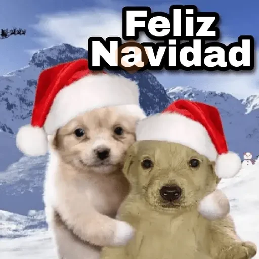 Navidad 🎁🎄🤶🏻 sticker 18