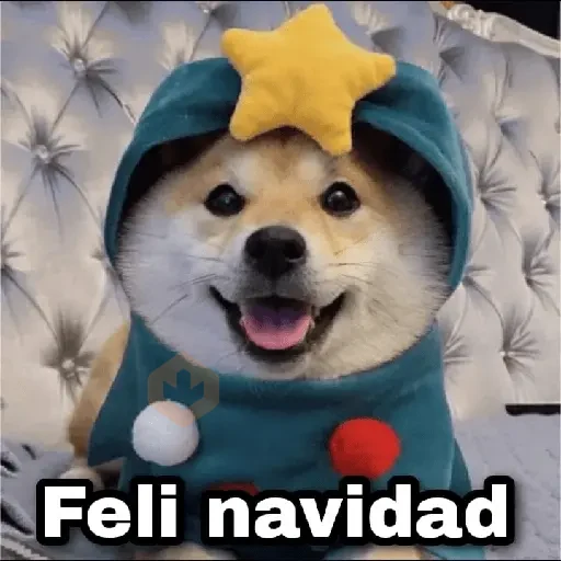 Navidad 🎁🎄🤶🏻 sticker 11