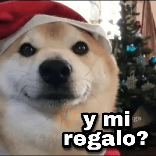 Navidad 🎁🎄🤶🏻 sticker 14