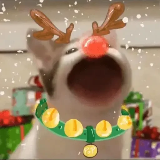 Navidad 🎁🎄🤶🏻 sticker 16
