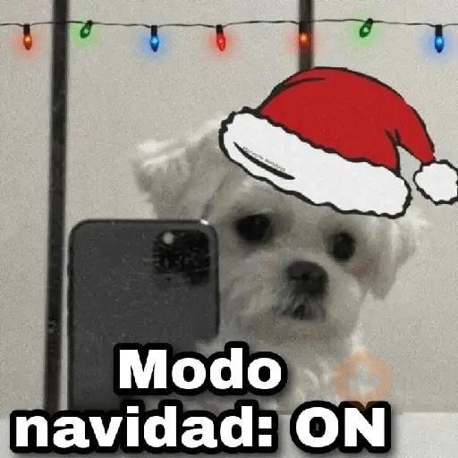 Navidad 🎁🎄🤶🏻 sticker 15