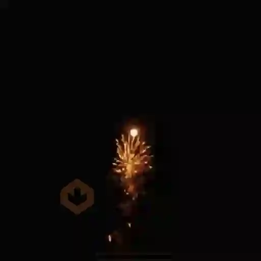 Feliz año nuevo 2026 🎆🎇🧨 sticker 15