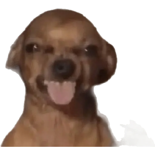 Meme reacción
