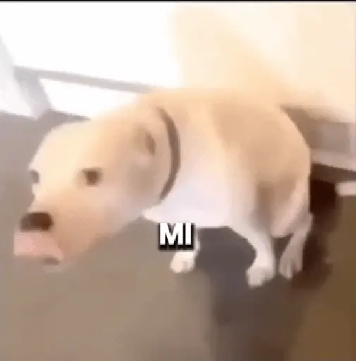 Fuera Fuera depresión 💃