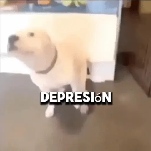 Fuera Fuera depresión 💃