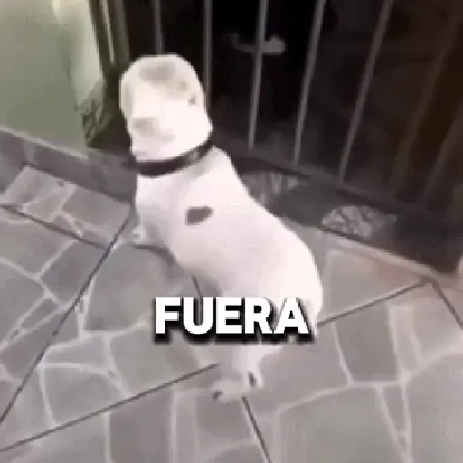 Fuera Fuera depresión 💃 preview