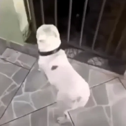 Fuera Fuera depresión 💃