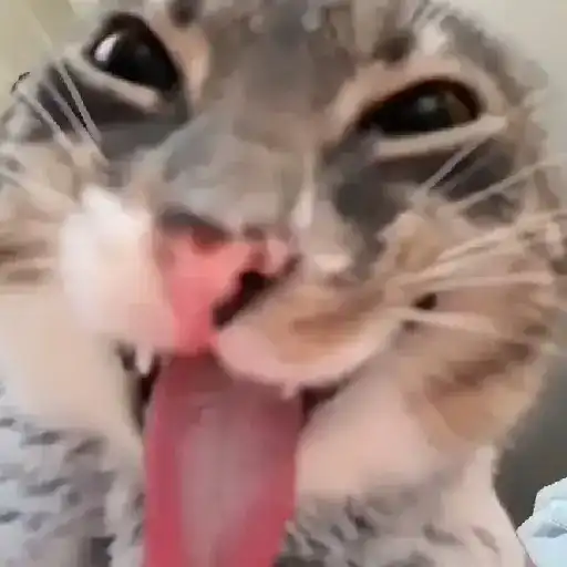 🎵 TIKTOKeando 43🎵